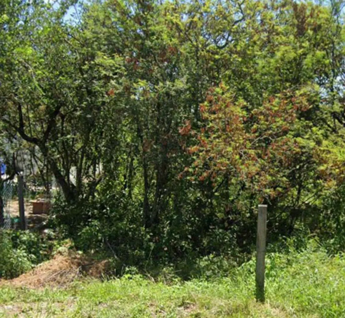 Terreno - Rio Ceballos 2