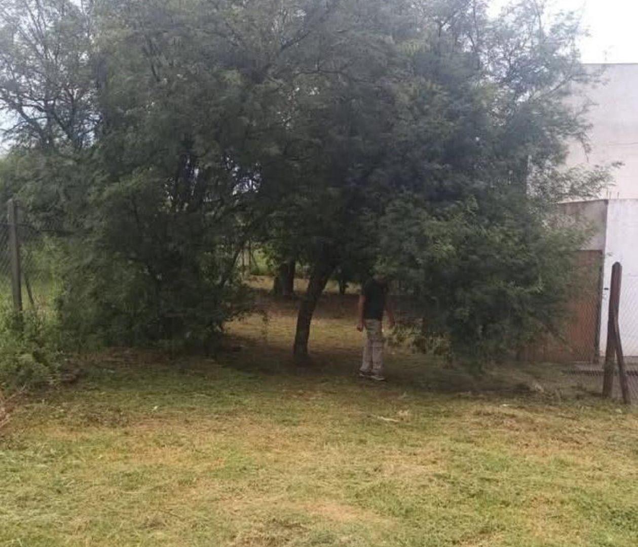 Foto de Terreno - Villa Catalina, imagen 2