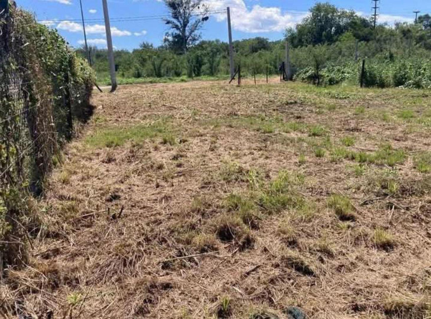 Foto de Terreno - Rio Ceballos, imagen 3