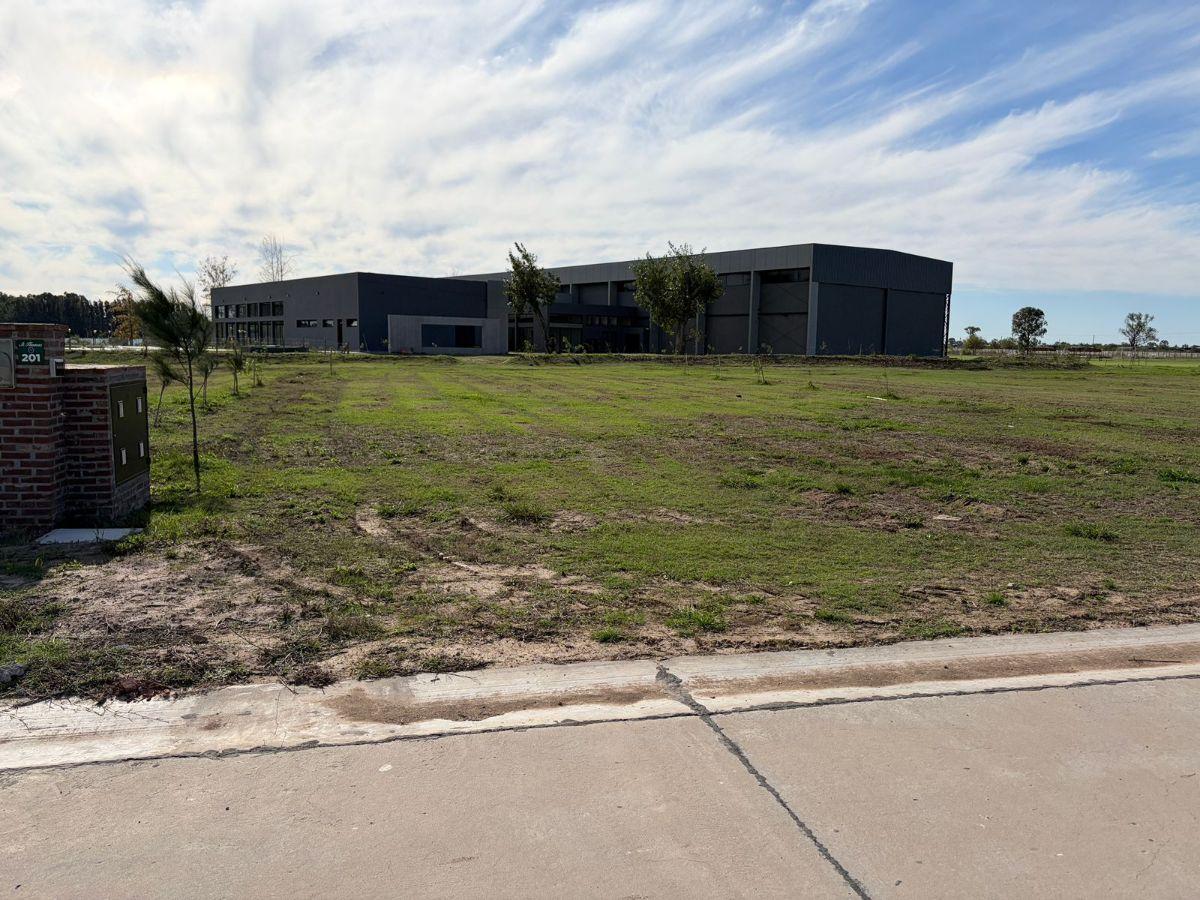 Lote en venta en Saint Thomas Chico 1000 m²