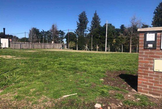 Foto de LOTE EN VENTA SANTA ELISA PILAR DEL ESTE, imagen 3