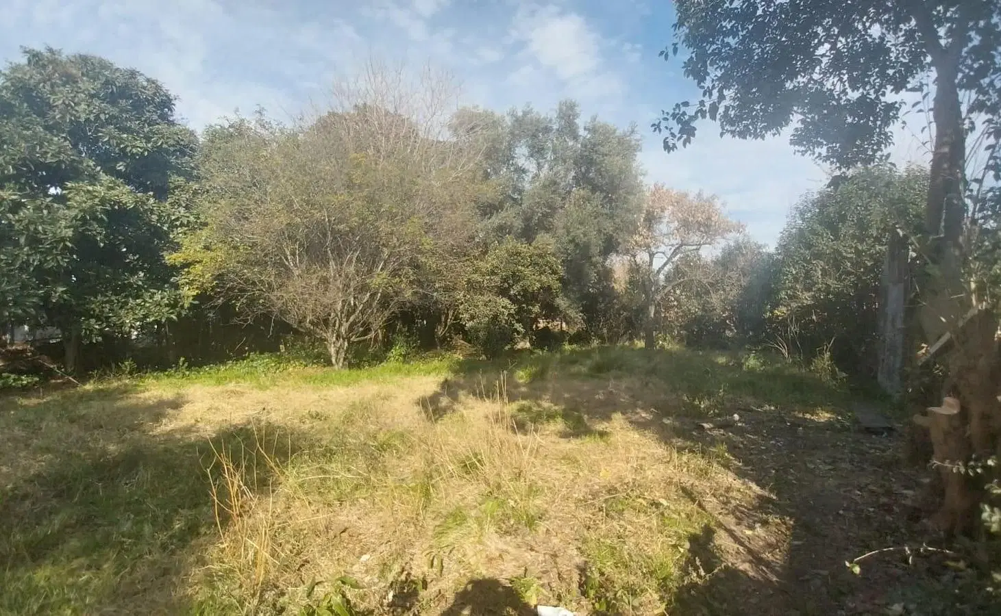 Terreno de 500m2 en ideal inversión! 3