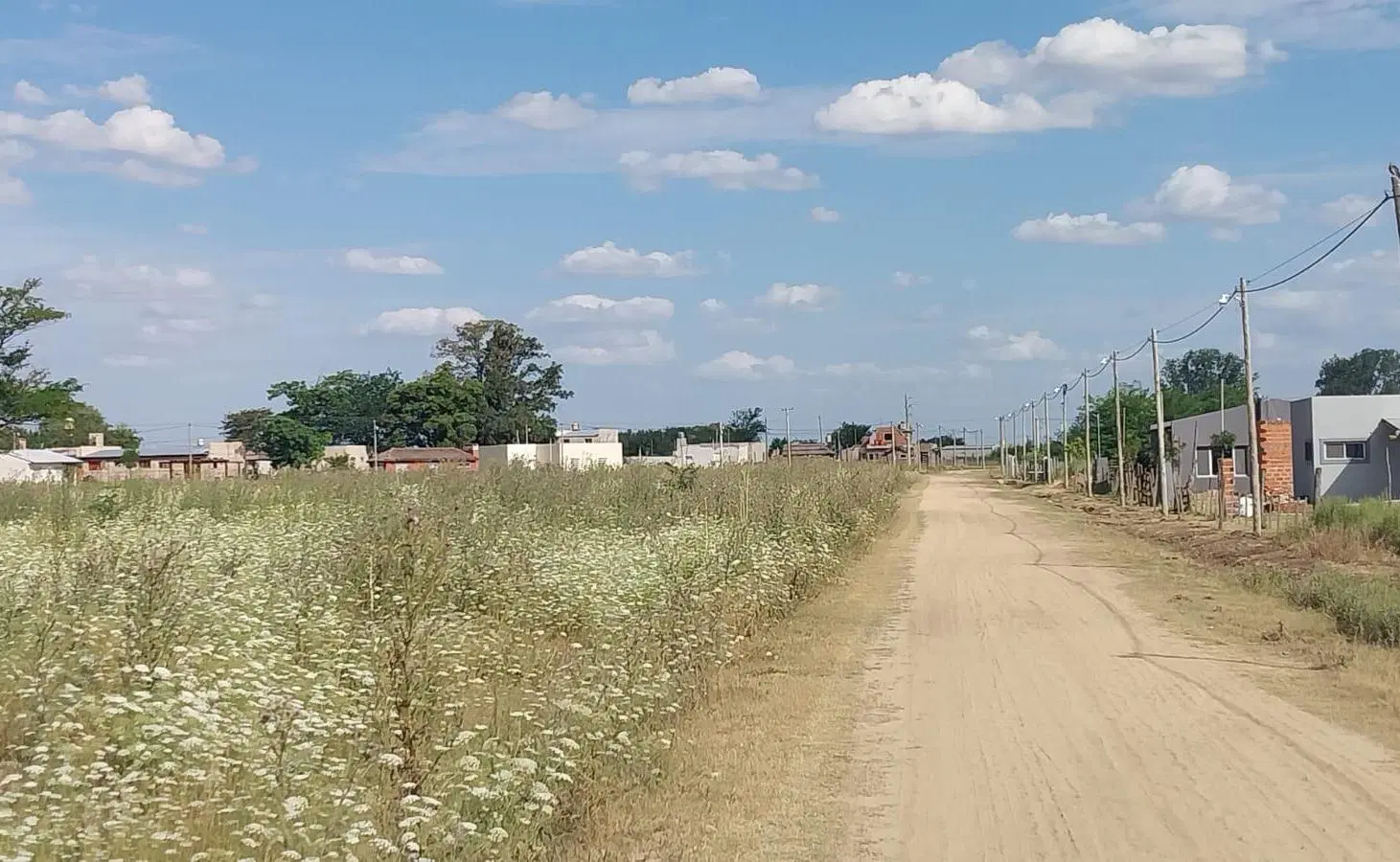 Terrenos en venta de 1000m2 en zona en crecimiento. 2
