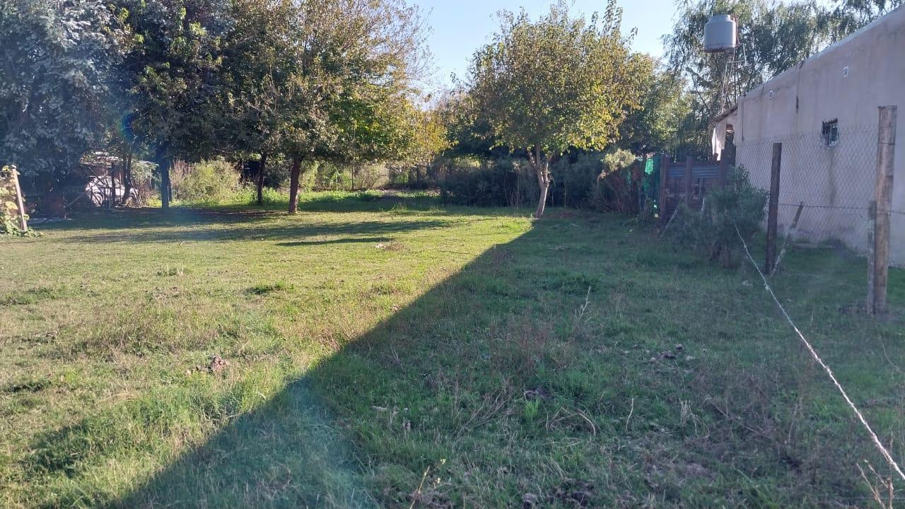 Foto de Terreno de 1000m2 con arboleda, luz y gas, imagen 1