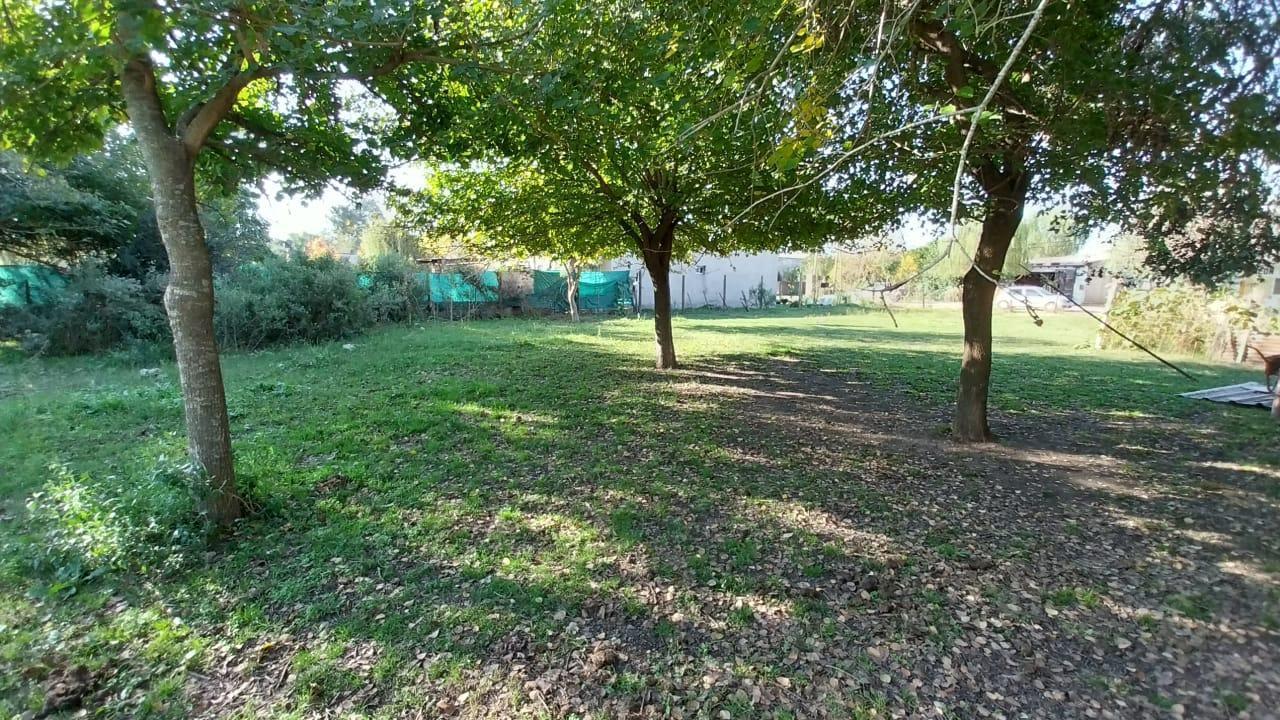 Foto de Terreno de 1000m2 con arboleda, luz y gas, imagen 4