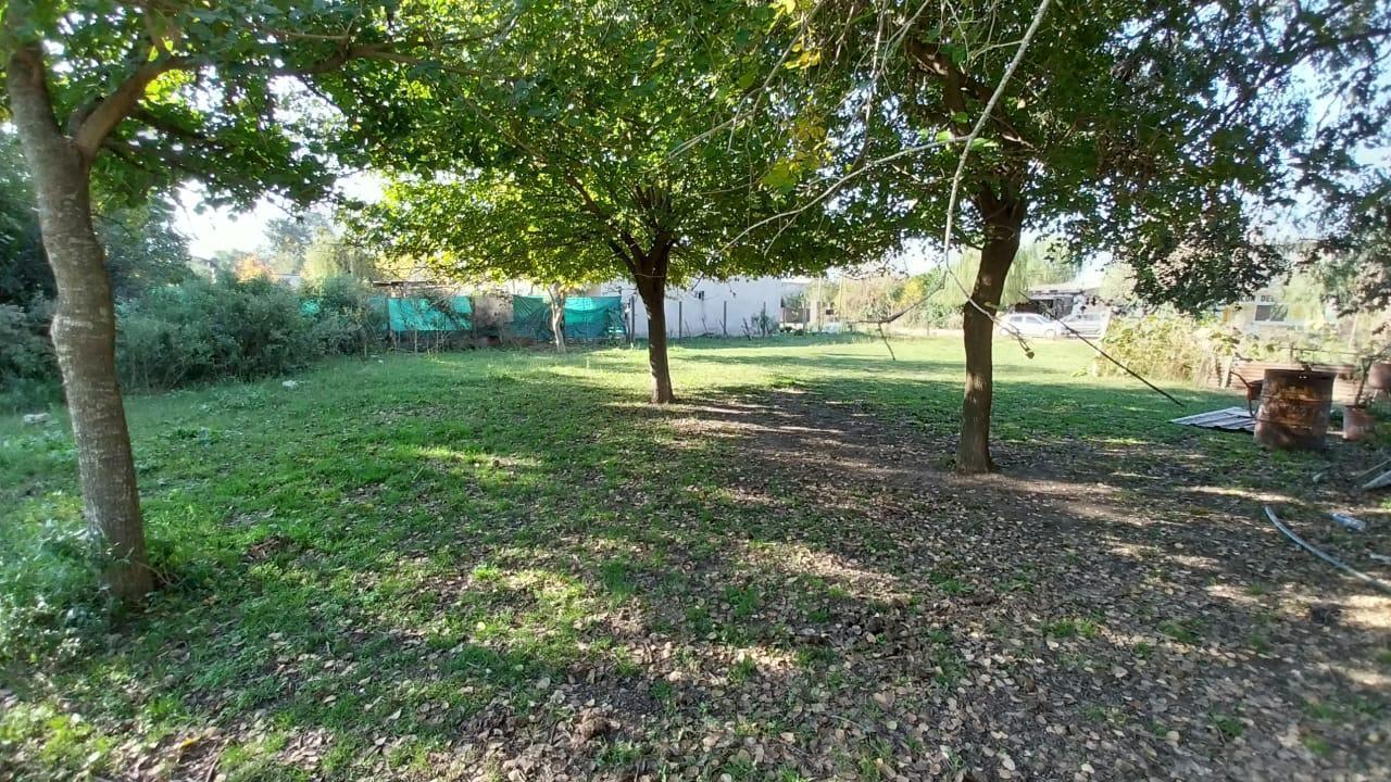 Foto de Terreno de 1000m2 con arboleda, luz y gas, imagen 2