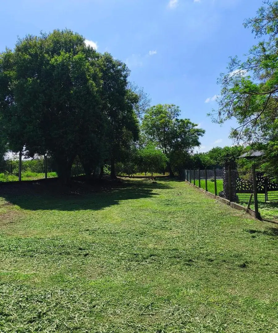 Terreno en Los Nogales 4