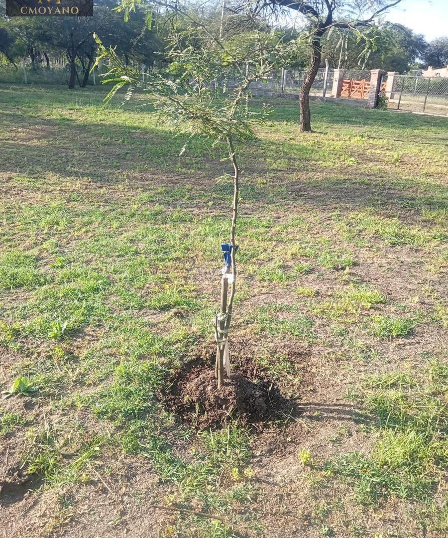Foto de Terreno en Termas de Rio Hondo, imagen 2