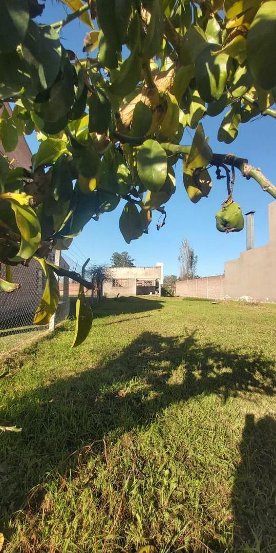 Foto de Terreno Yerba Buena, imagen 1