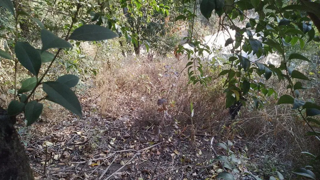 VENTA DE LOTES EN RIO CEBALLOS 4800 METROS 5