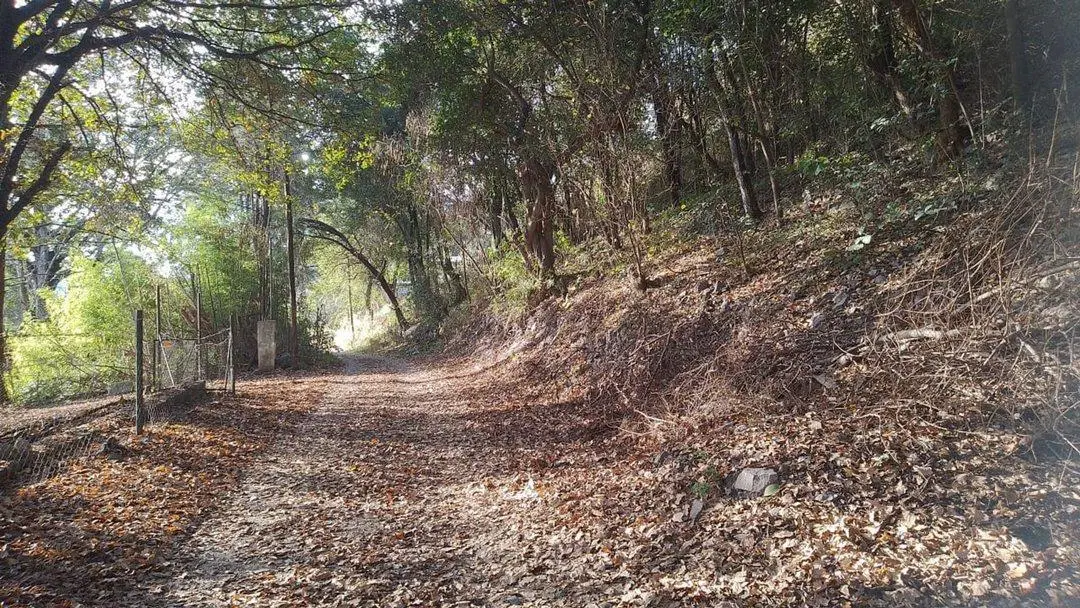 VENTA DE LOTES EN RIO CEBALLOS 4800 METROS 1