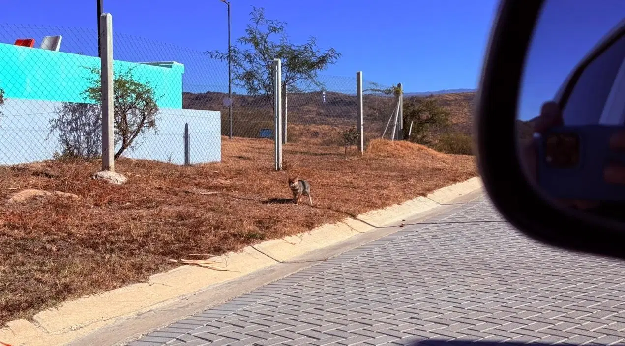Terreno en venta en villa carlos paz barrio venturia con vista a las sierras y lago 3