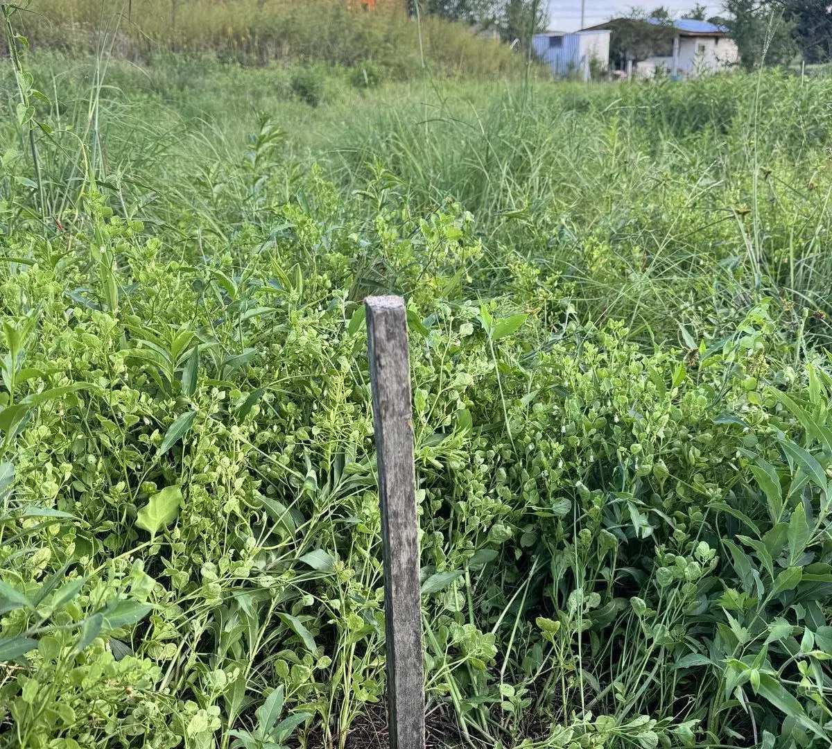 Terreno en Villa Del Dique 1