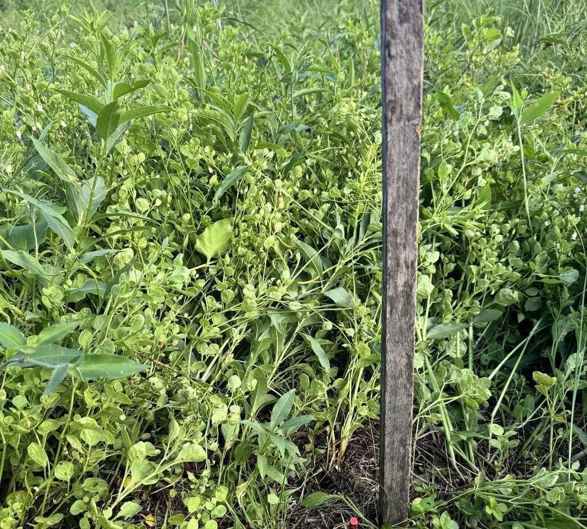 Terreno en Villa Del Dique 3