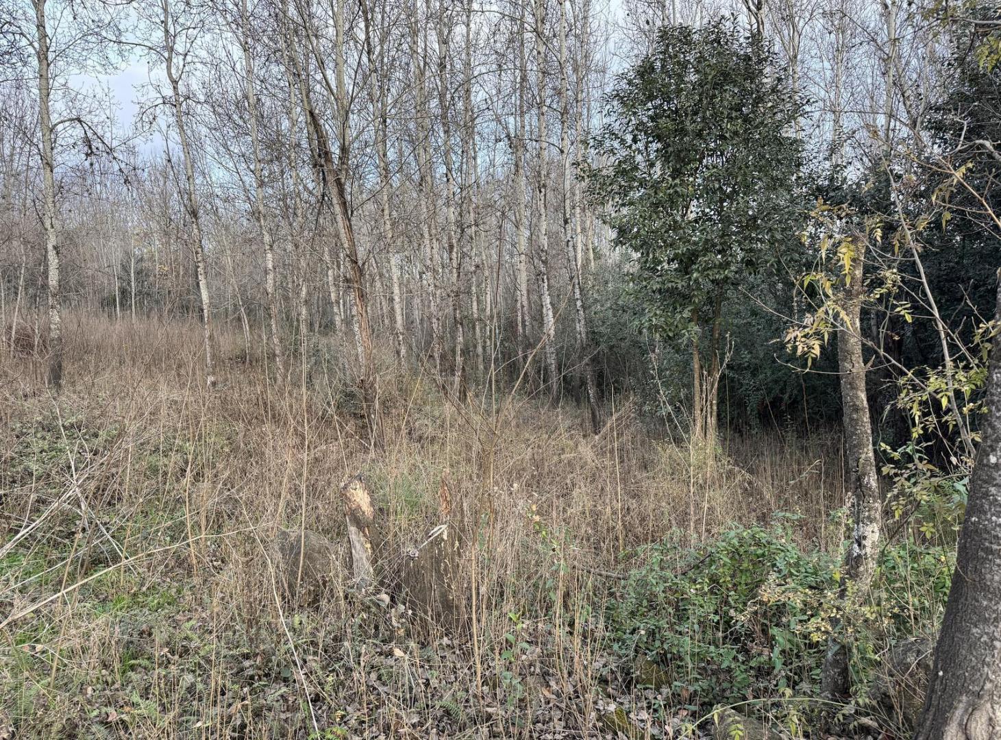 Foto de 3 Terrenos en Venta 500 m2 c/u - Yacanto de Calamuchita, imagen 4