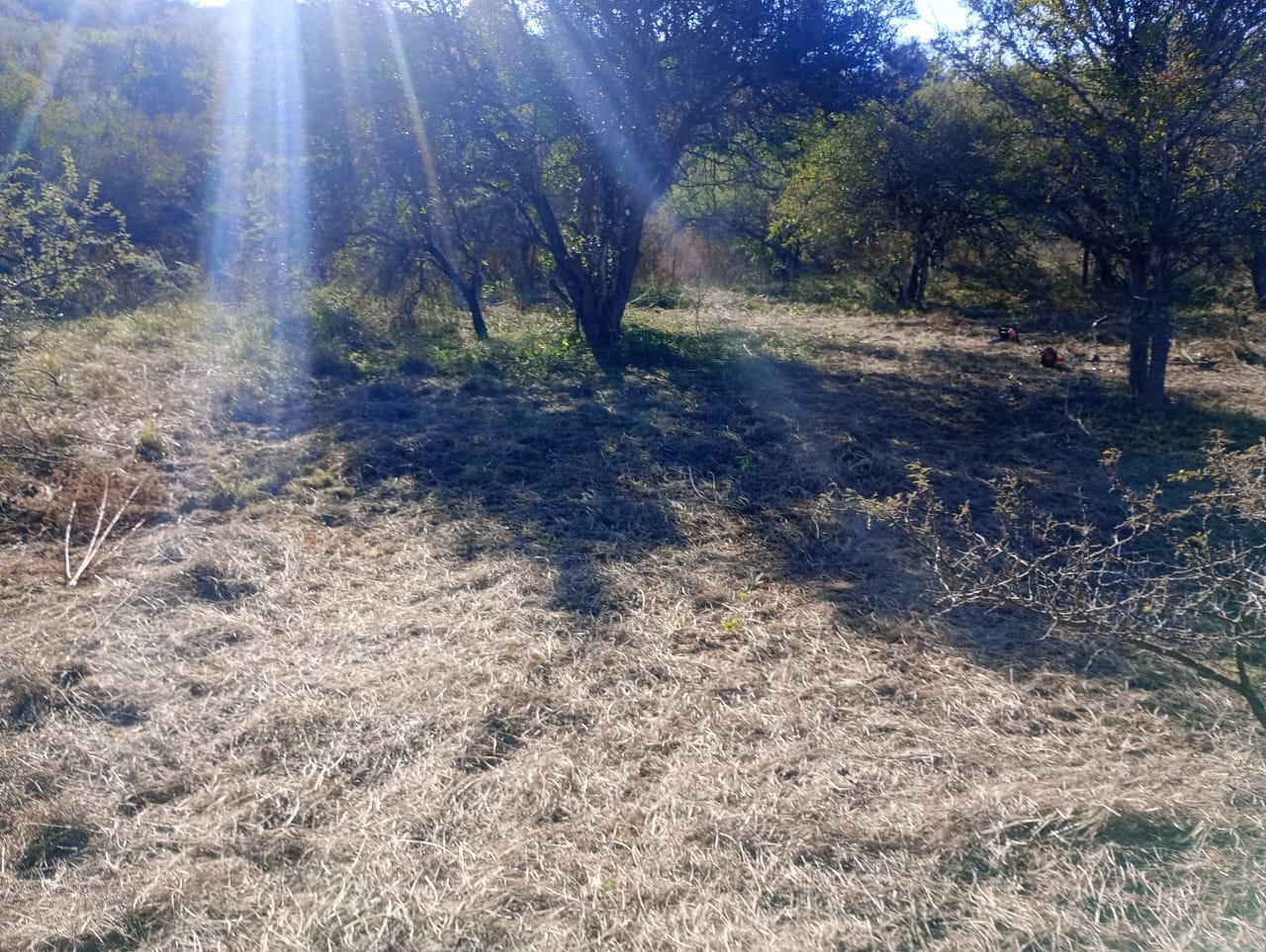 Foto de OPORTUNIDAD ! - Terreno en venta - ESQUINA - 425 m2 - Villa del Dique, imagen 5