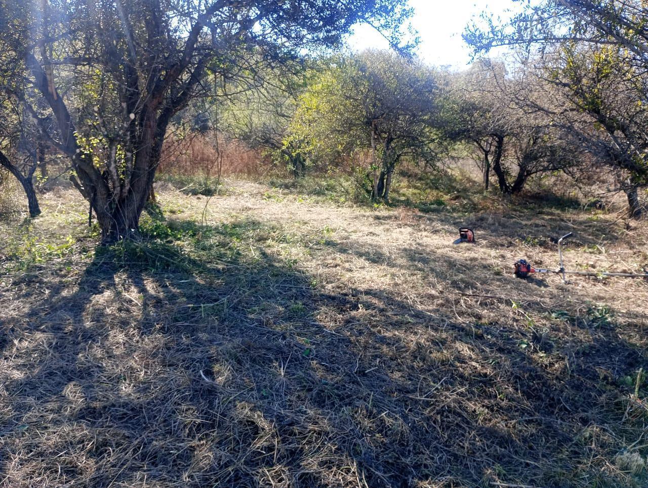 Foto de OPORTUNIDAD ! - Terreno en venta - ESQUINA - 425 m2 - Villa del Dique, imagen 1
