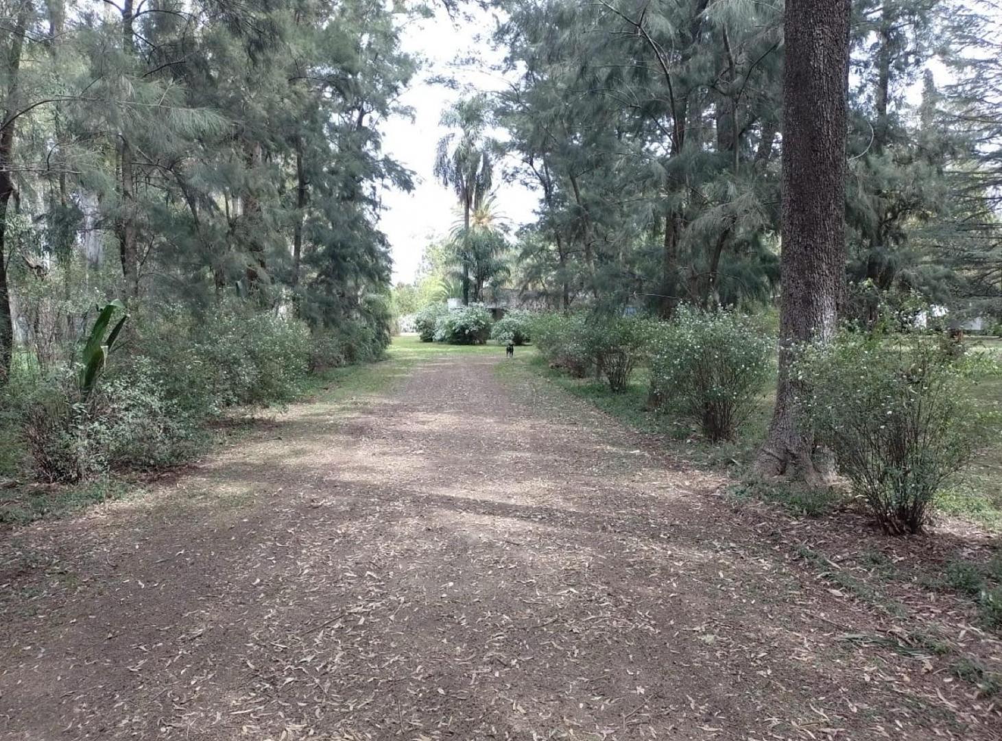 Venta Lote 7 hectareas en Pilar- Presidente Derqui