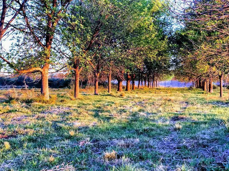 Lote Reventa - El Paso, Pilar 4