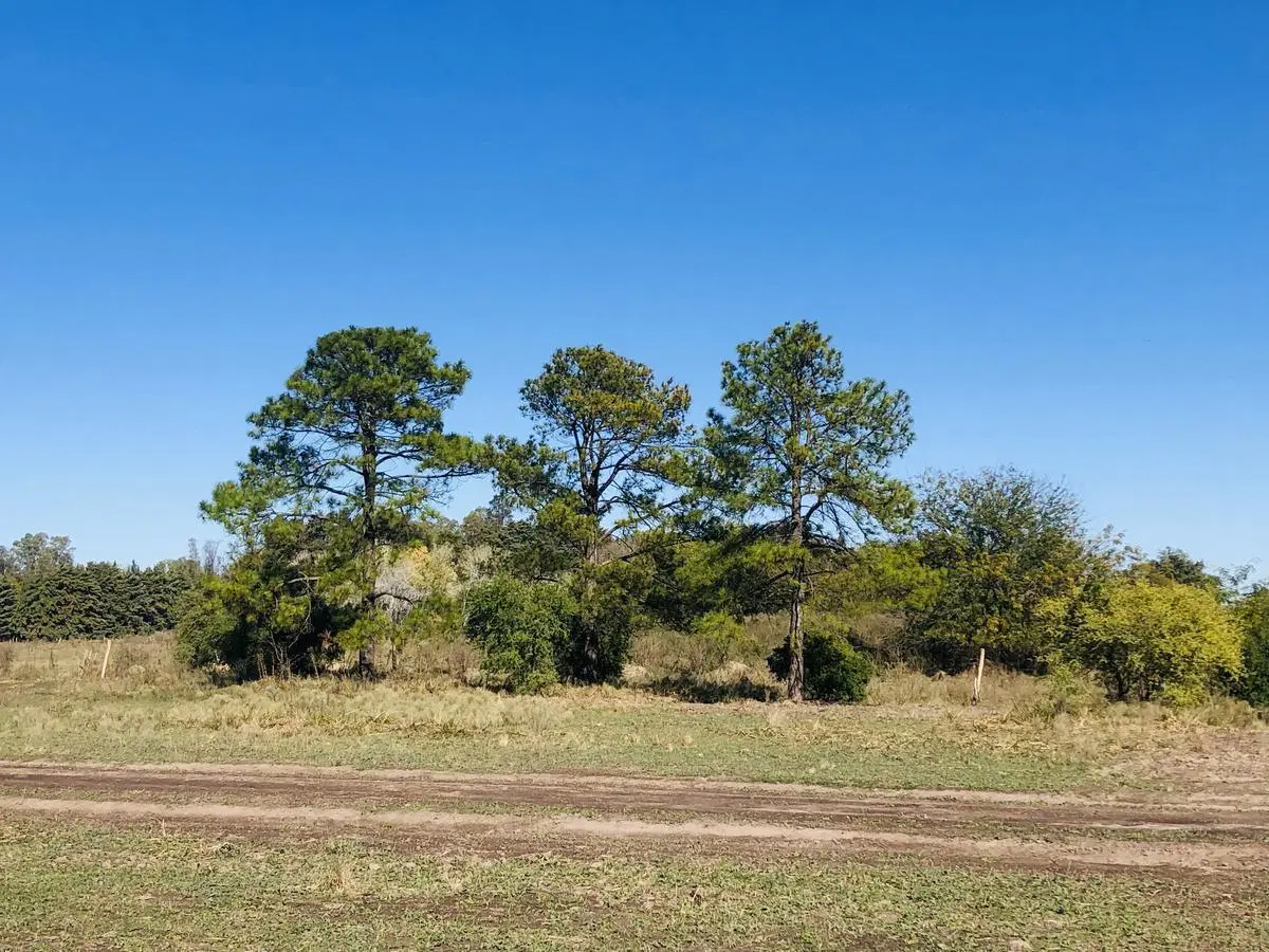 Lote Reventa - El Paso, Pilar 3