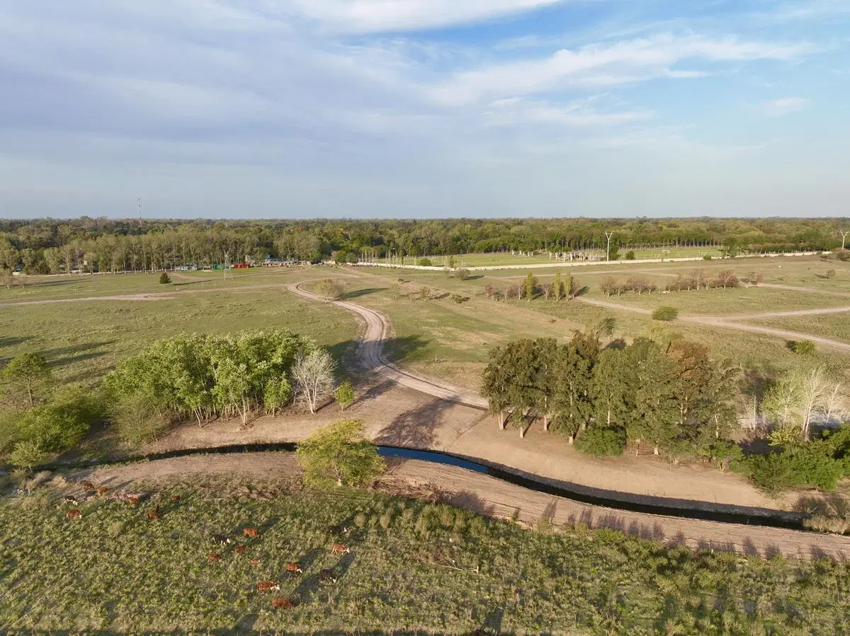 Lote Reventa - El Paso, Pilar 2