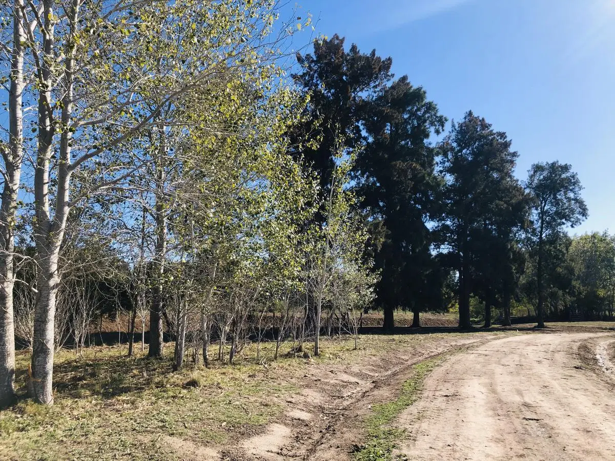 Lote Reventa - El Paso, Pilar 5