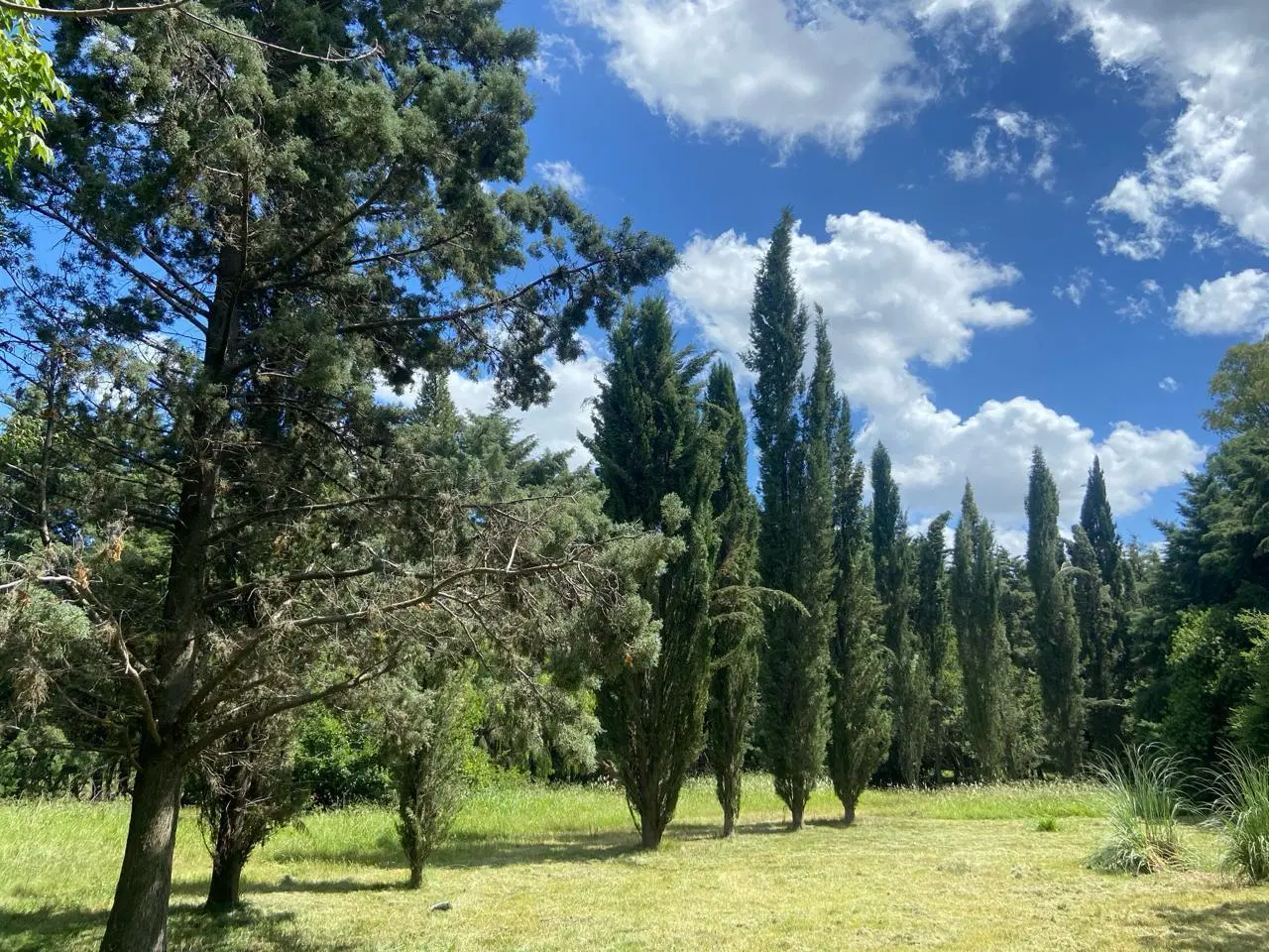 BAJO DE PRECIO !!! 2.4 Ha para Loteo- desarrollo en Pilar- Pilar 2