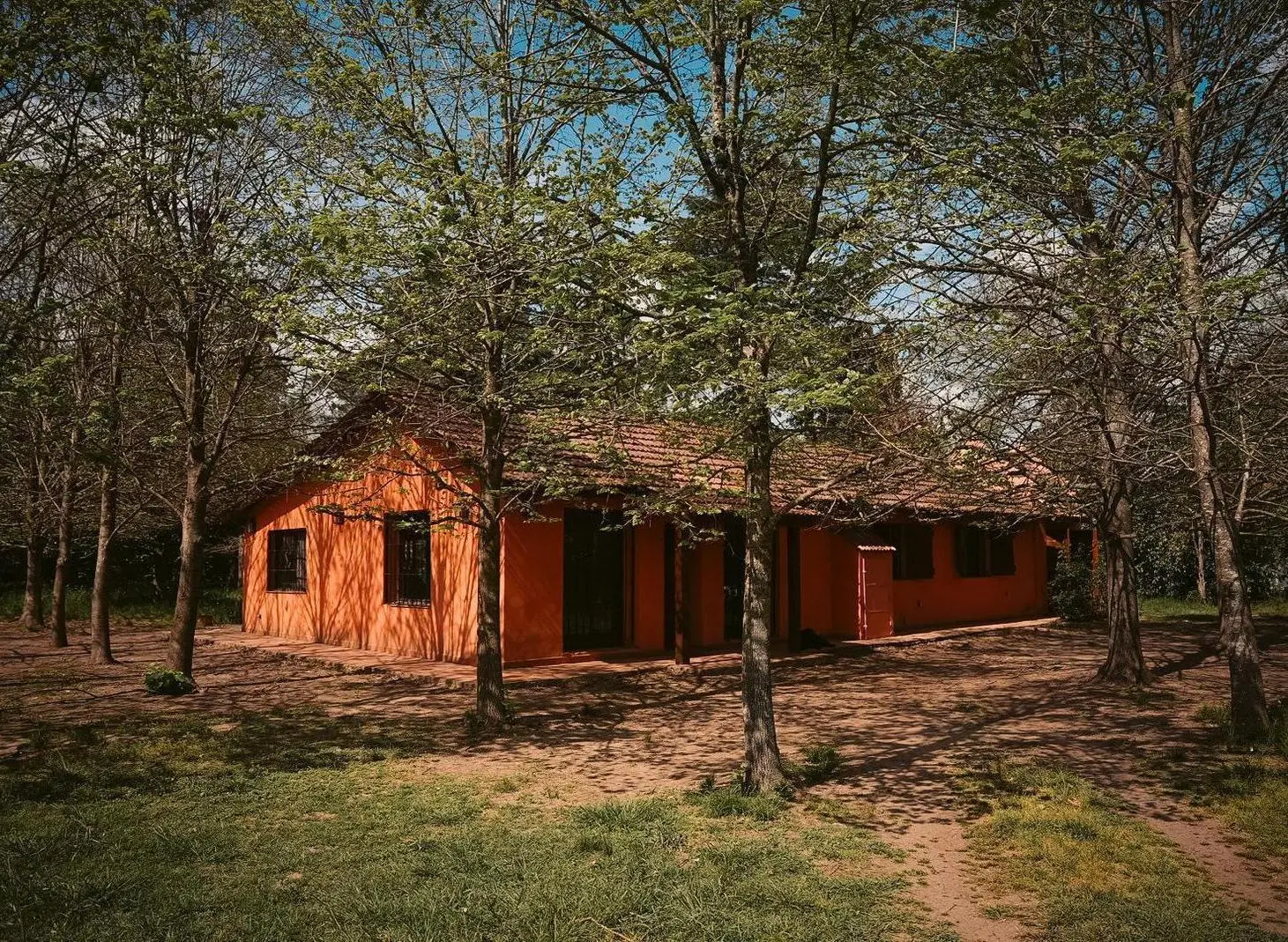 Los Jilgueros 4