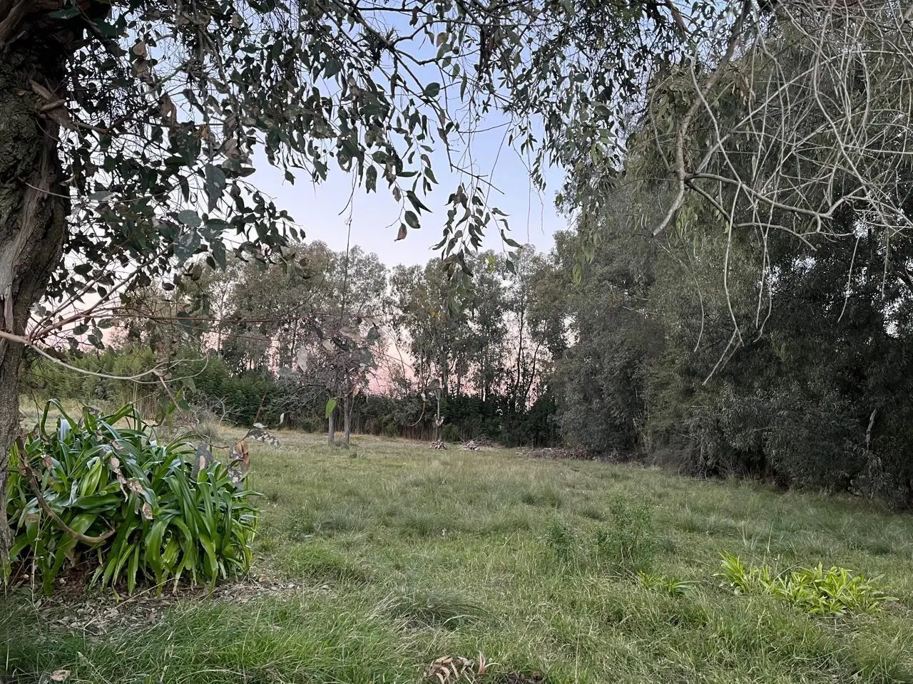 Campo en VIlla Rosa 5