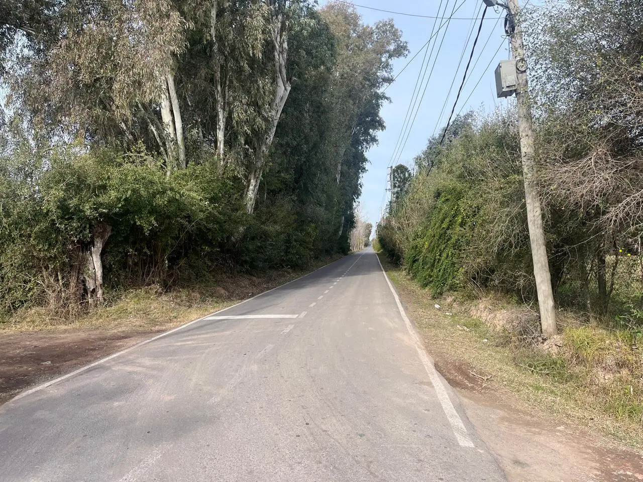 Campo en VIlla Rosa 3