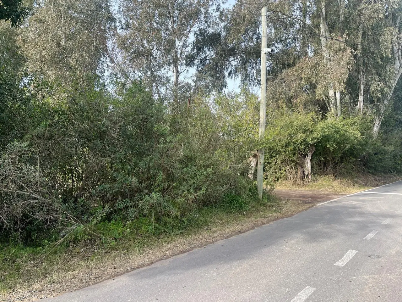 Campo en VIlla Rosa 2