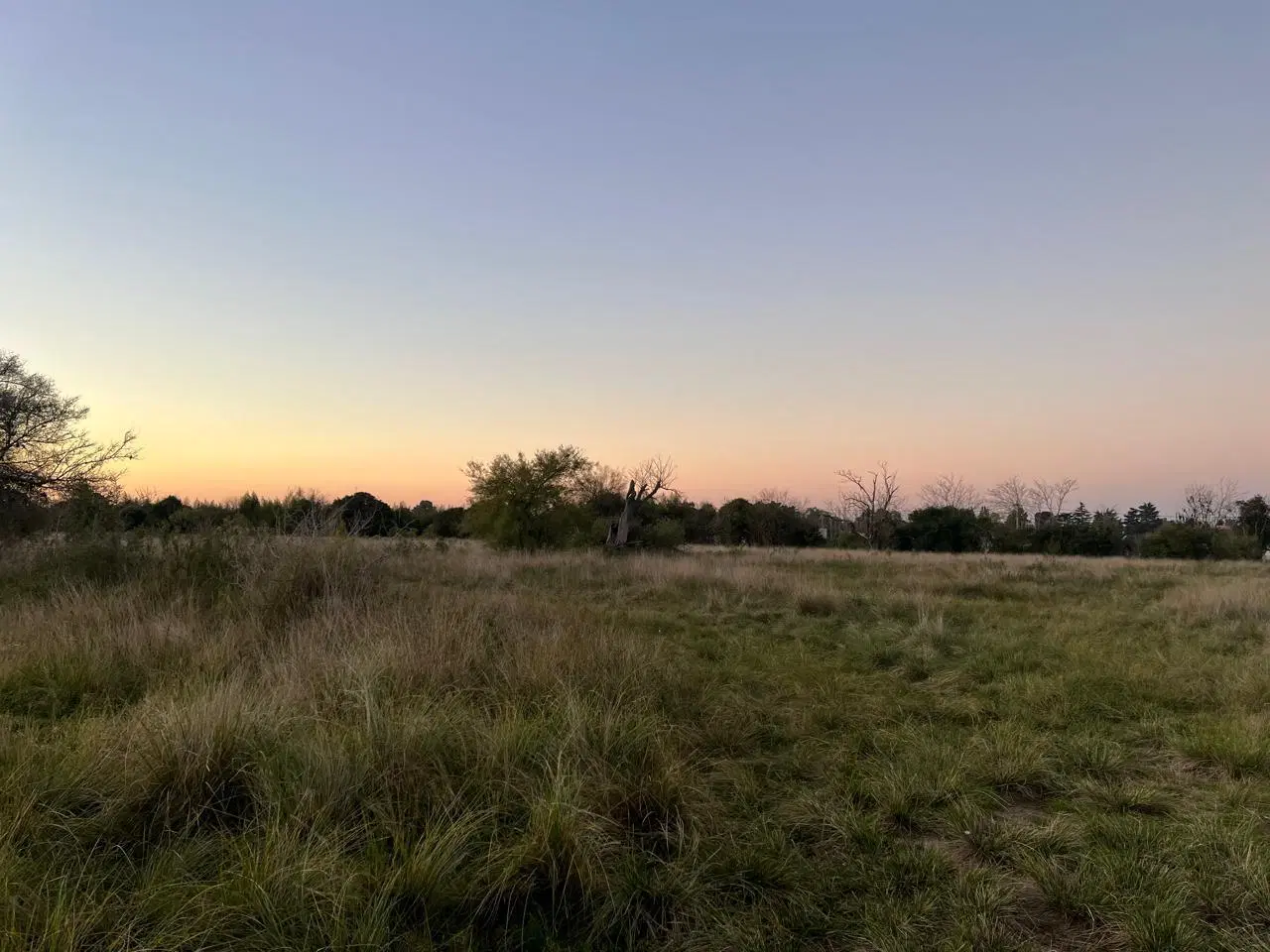 Campo en VIlla Rosa 8