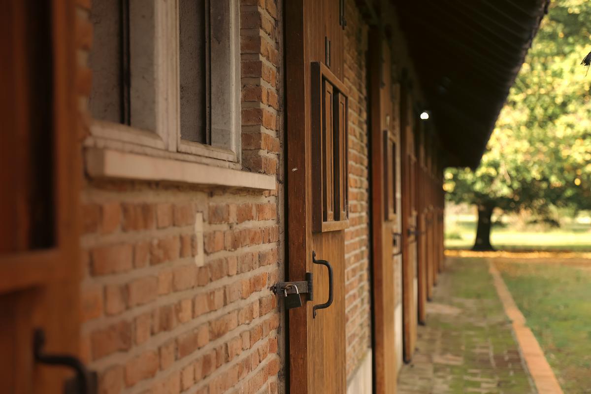 Foto de Terreno en venta Almahué Pilar, imagen 4