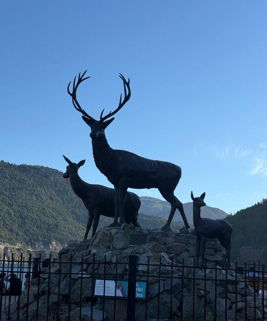 Foto de Terreno Estancia Miralejos SM de los Andes Ubicación privilegiada, imagen 4