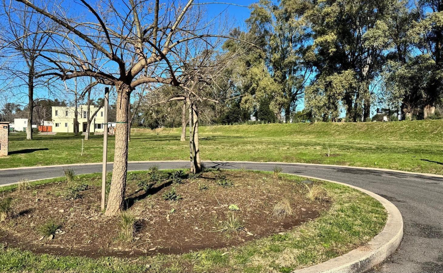 Foto de Terreno en Azzurra Tortugas, imagen 4