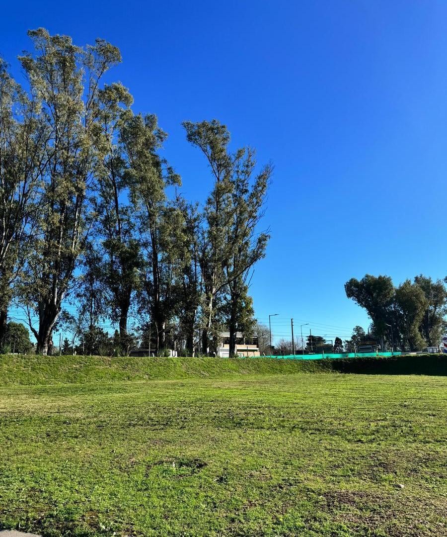 Foto de Terreno en Azzurra Tortugas, imagen 3