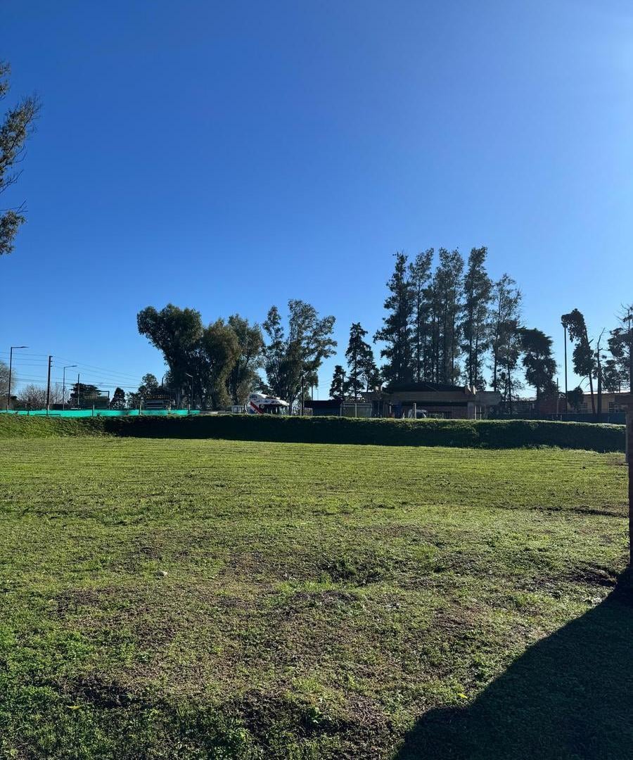 Foto de Terreno en Azzurra Tortugas, imagen 2