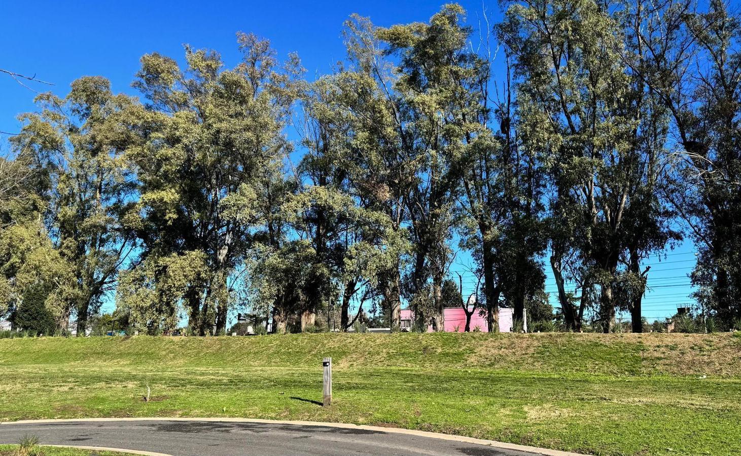 Foto de Terreno en Azzurra Tortugas, imagen 5