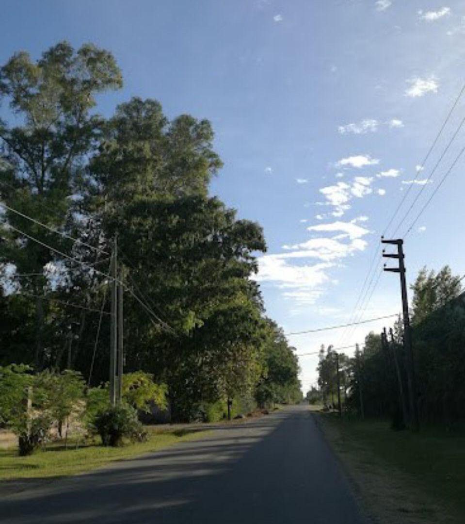 Foto de Terreno - Alvear de Benavidez, imagen 3