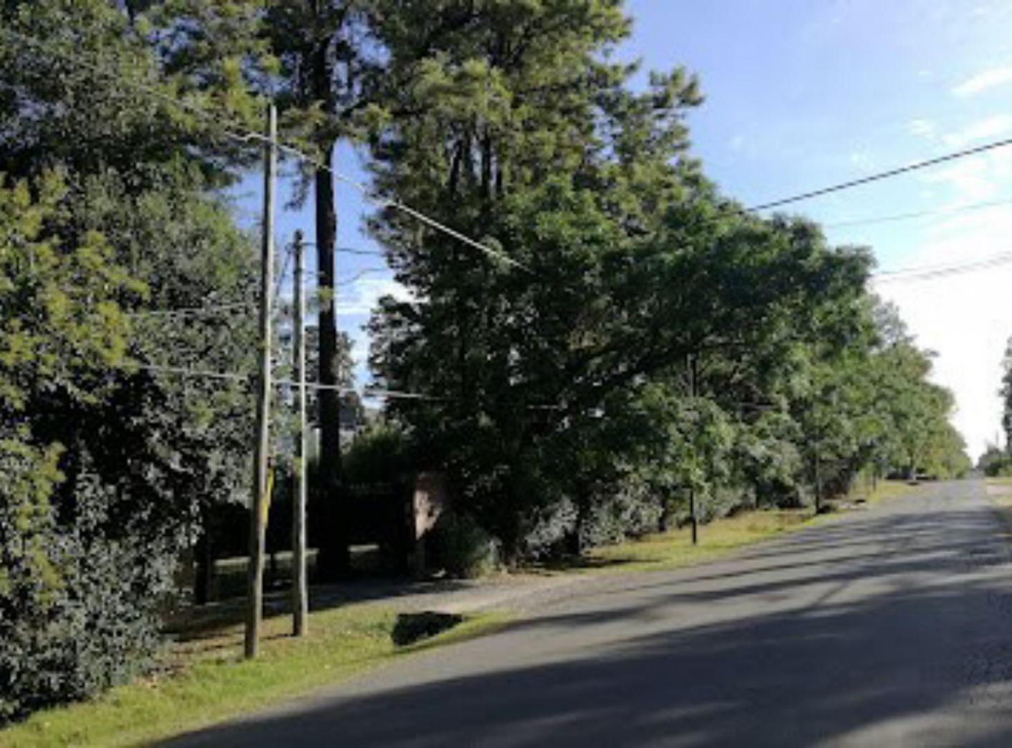 Foto de Terreno - Alvear de Benavidez, imagen 1