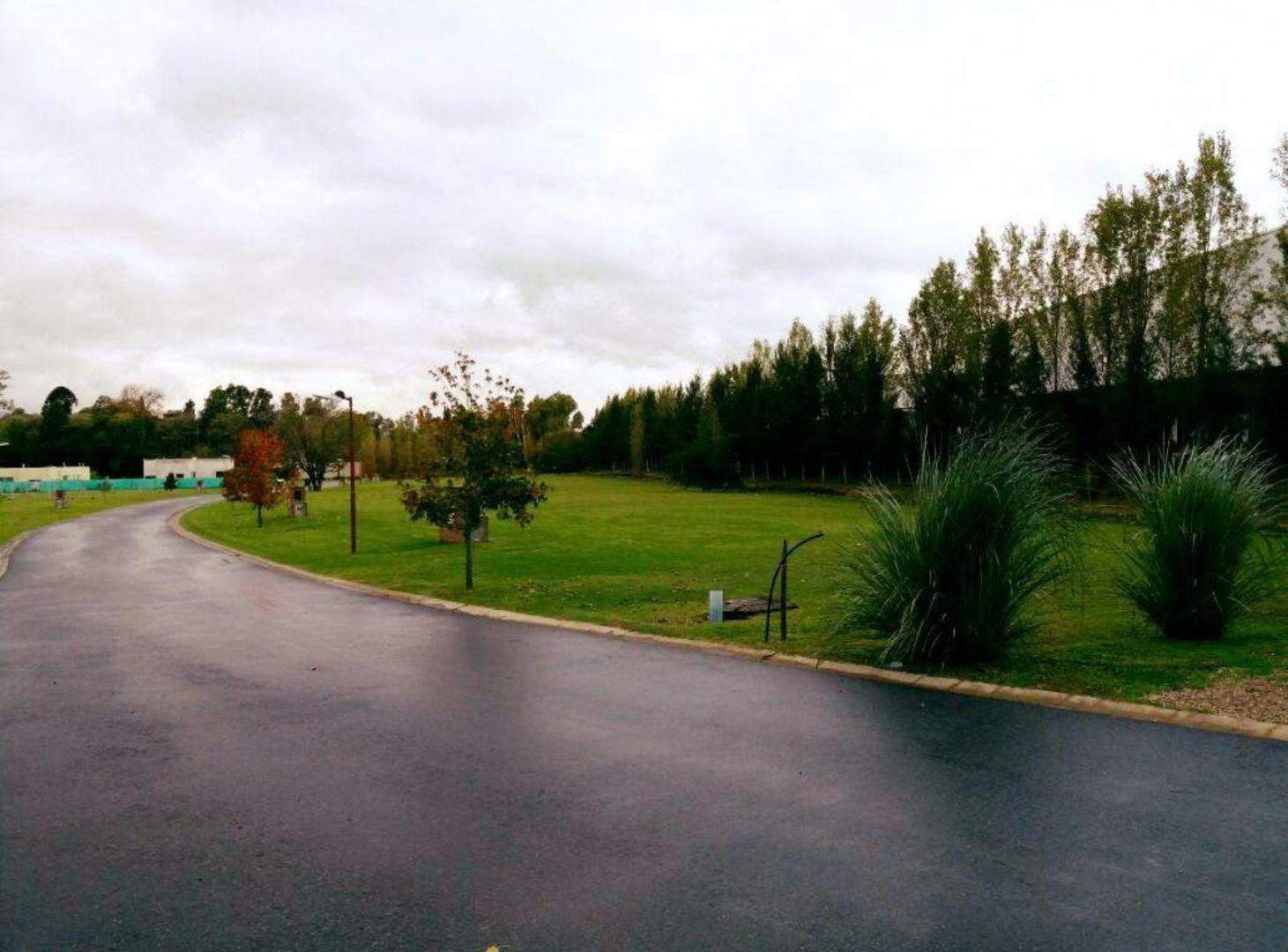 Foto de Terreno - Alvear de Benavidez, imagen 5