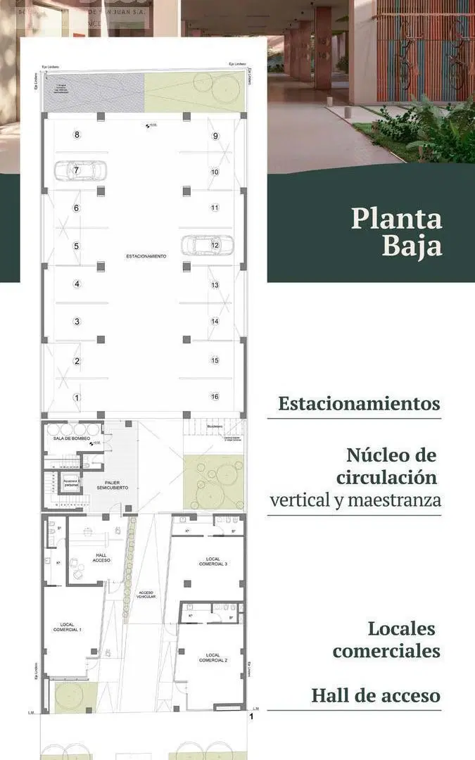 Plano 6