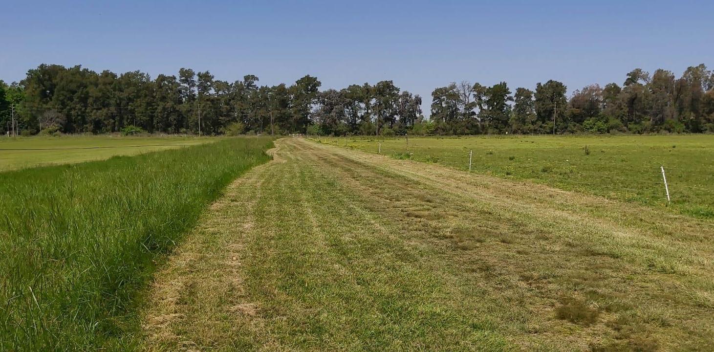 Foto de VENTA CAMPO Gral. Rodriguez, imagen 2