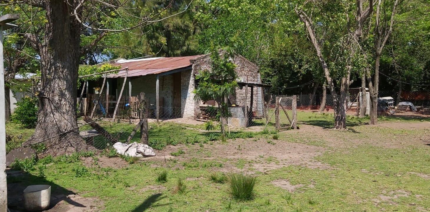 Foto de VENTA CAMPO Gral. Rodriguez, imagen 4