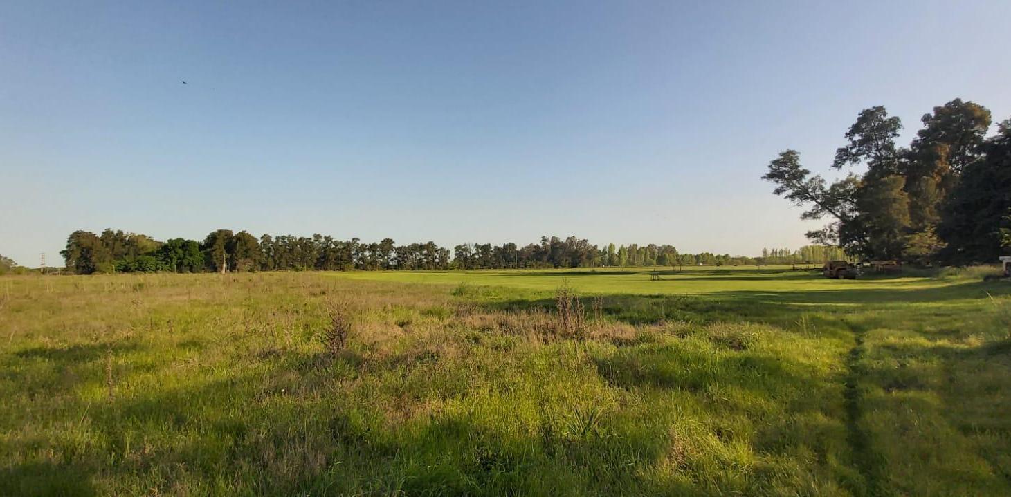 Foto de VENTA CAMPO Gral. Rodriguez, imagen 1