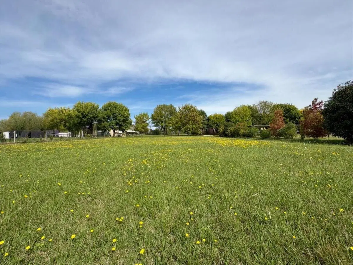 Oportunidad! Lote en venta Los Palenques Manzanares 1100 m² Fondo Libre Vista Abierta 3