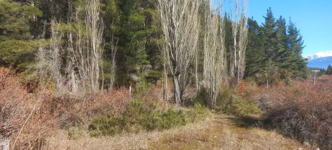 Terreno de 7,6 Ha. sobre Ruta 40-"Los Maitenes" 5