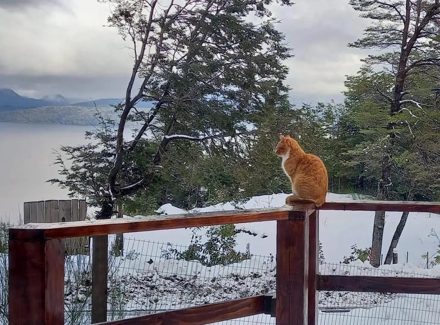 Villa La Angostura - Venta casa 5 ambientes vista abierta al lago Nahuel Huapi 2