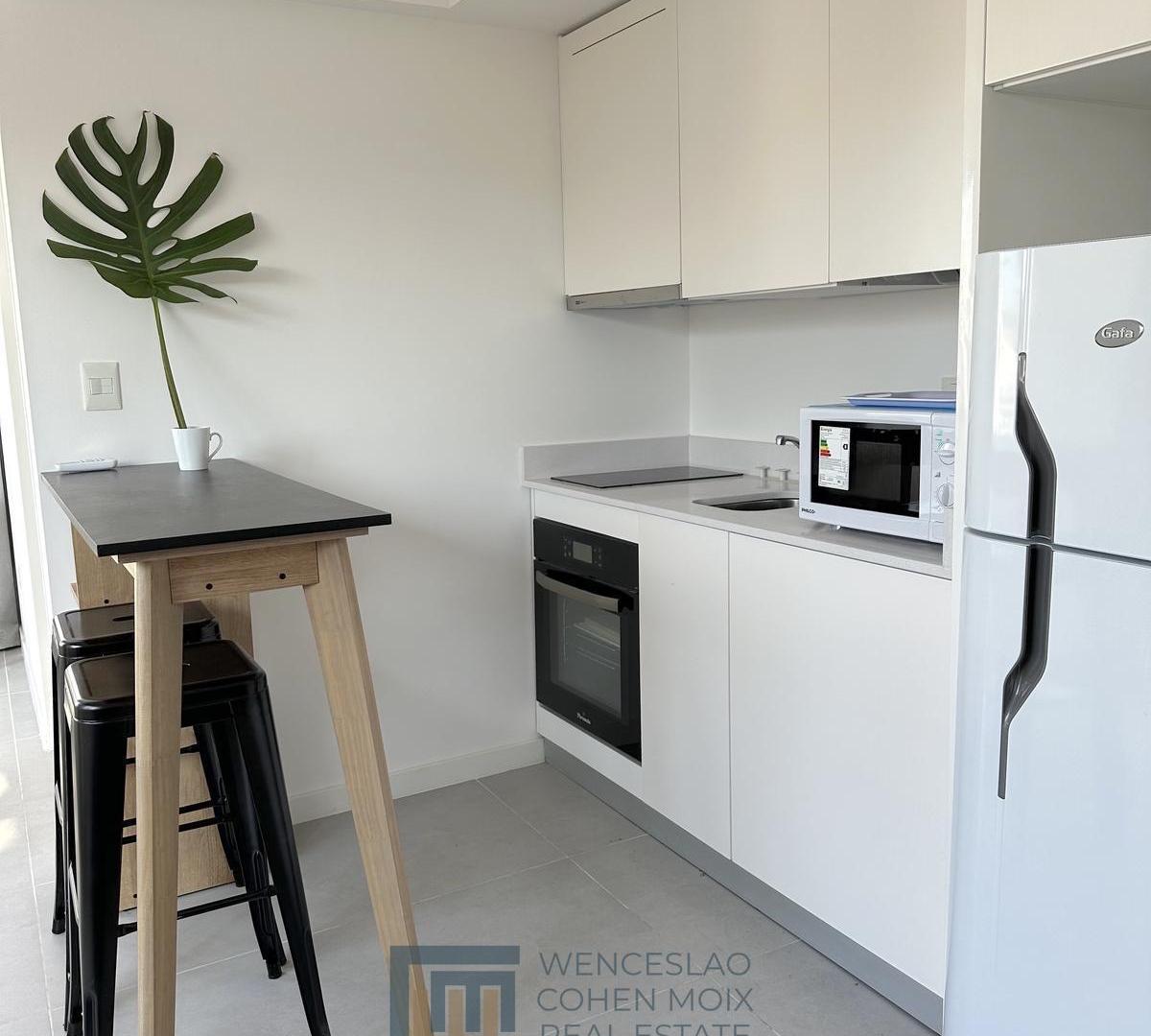 Foto de VENTA Departamento 2 ambientes con gran terraza todo sol Recoleta en, imagen 5