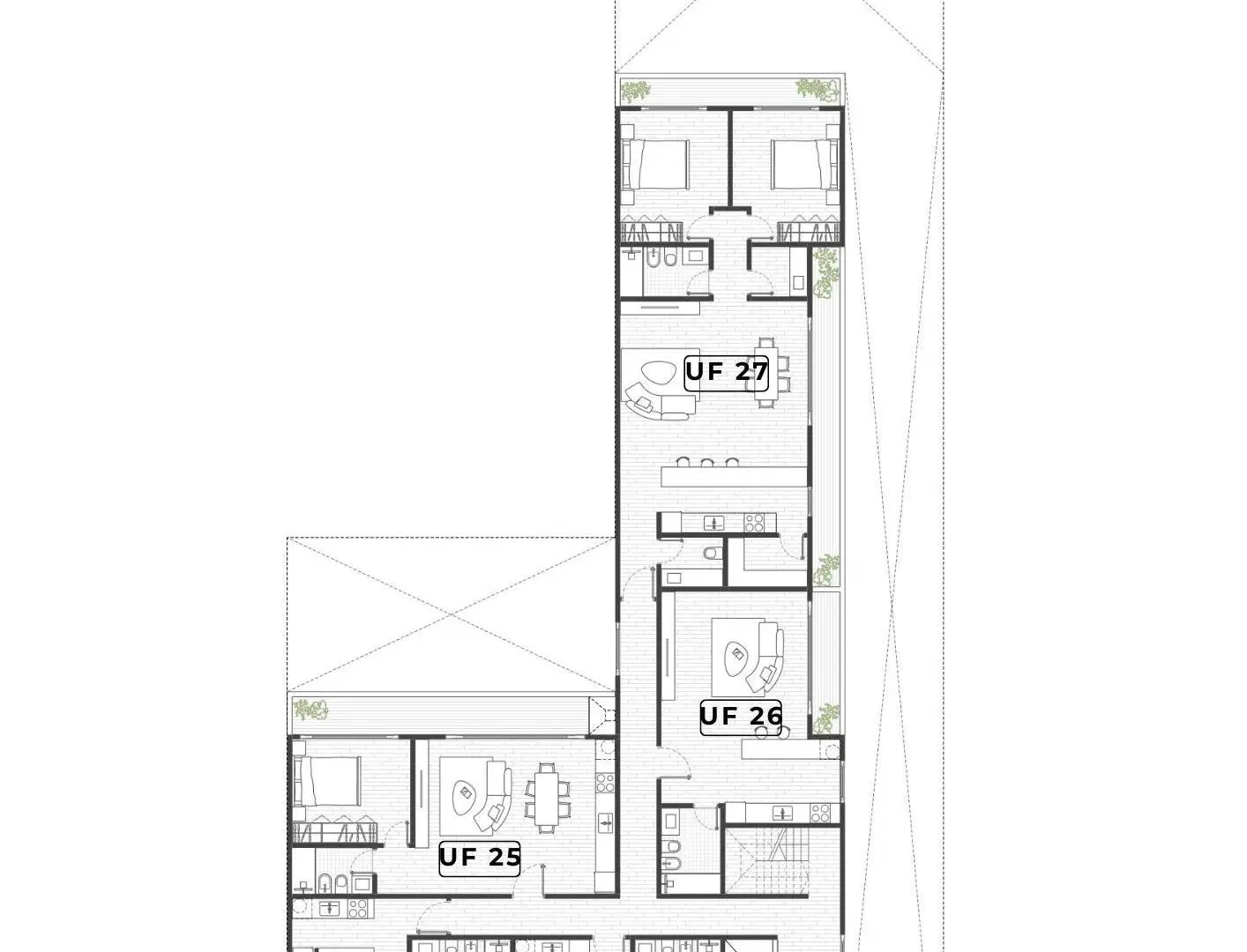 Plano 6